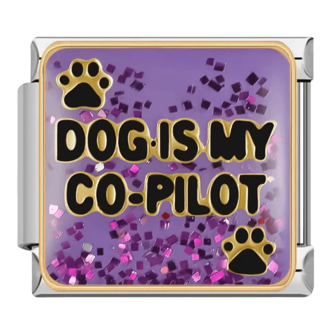 Dog is my co-pilot