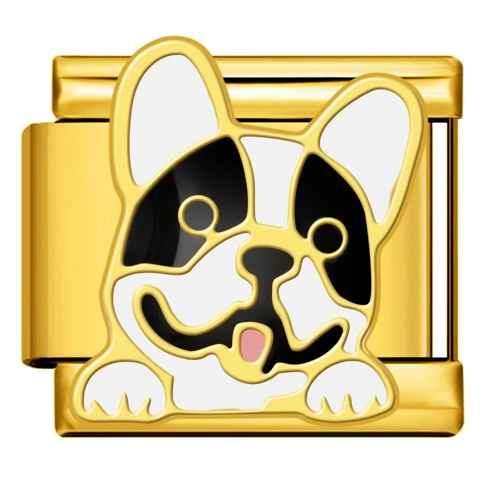 French Bulldog - Image 2
