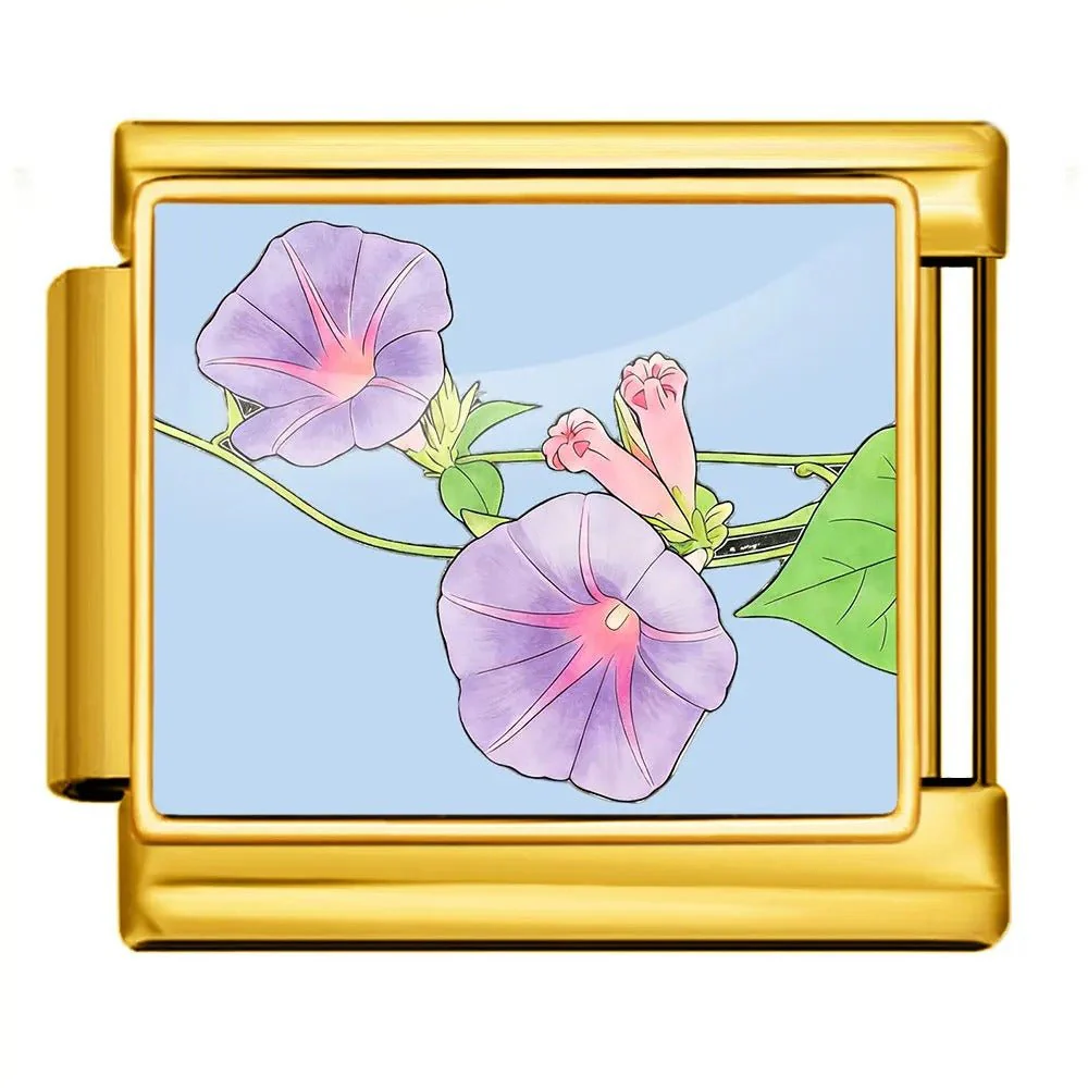 Morning Glory - Image 2