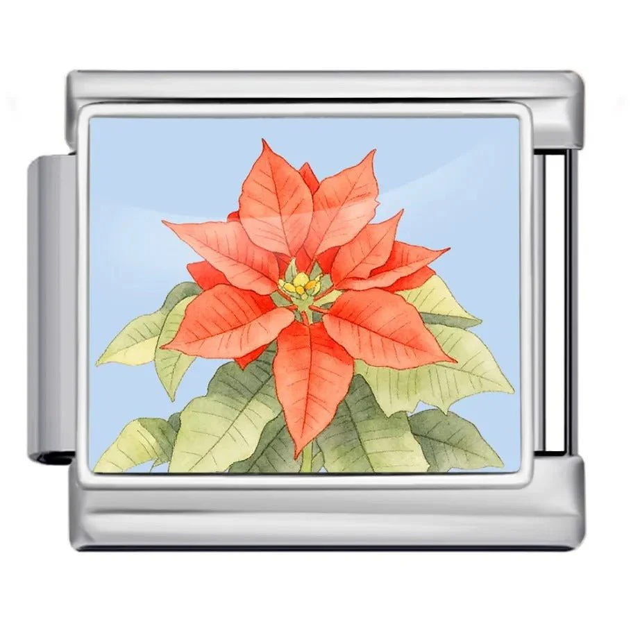 Poinsettia