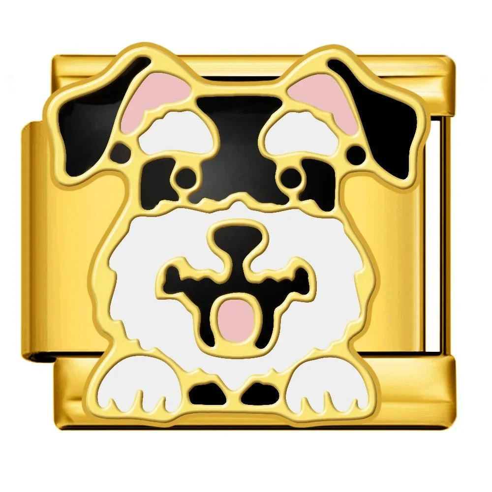 Schnauzer - Image 2