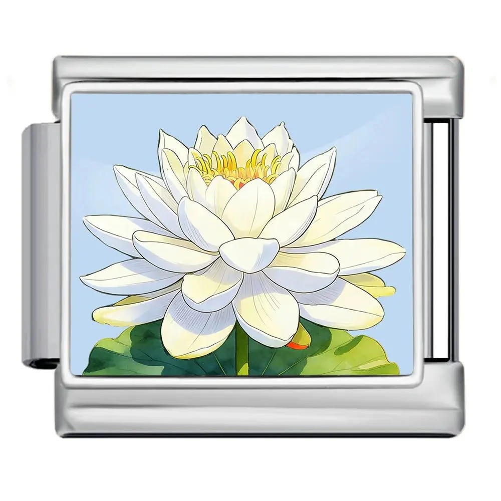 Water Lily