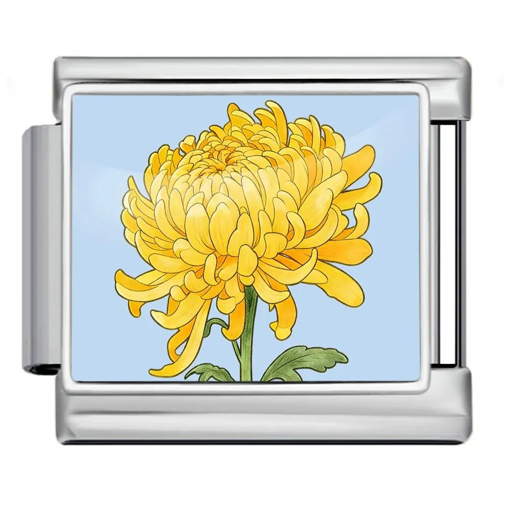 Chrysanthemum